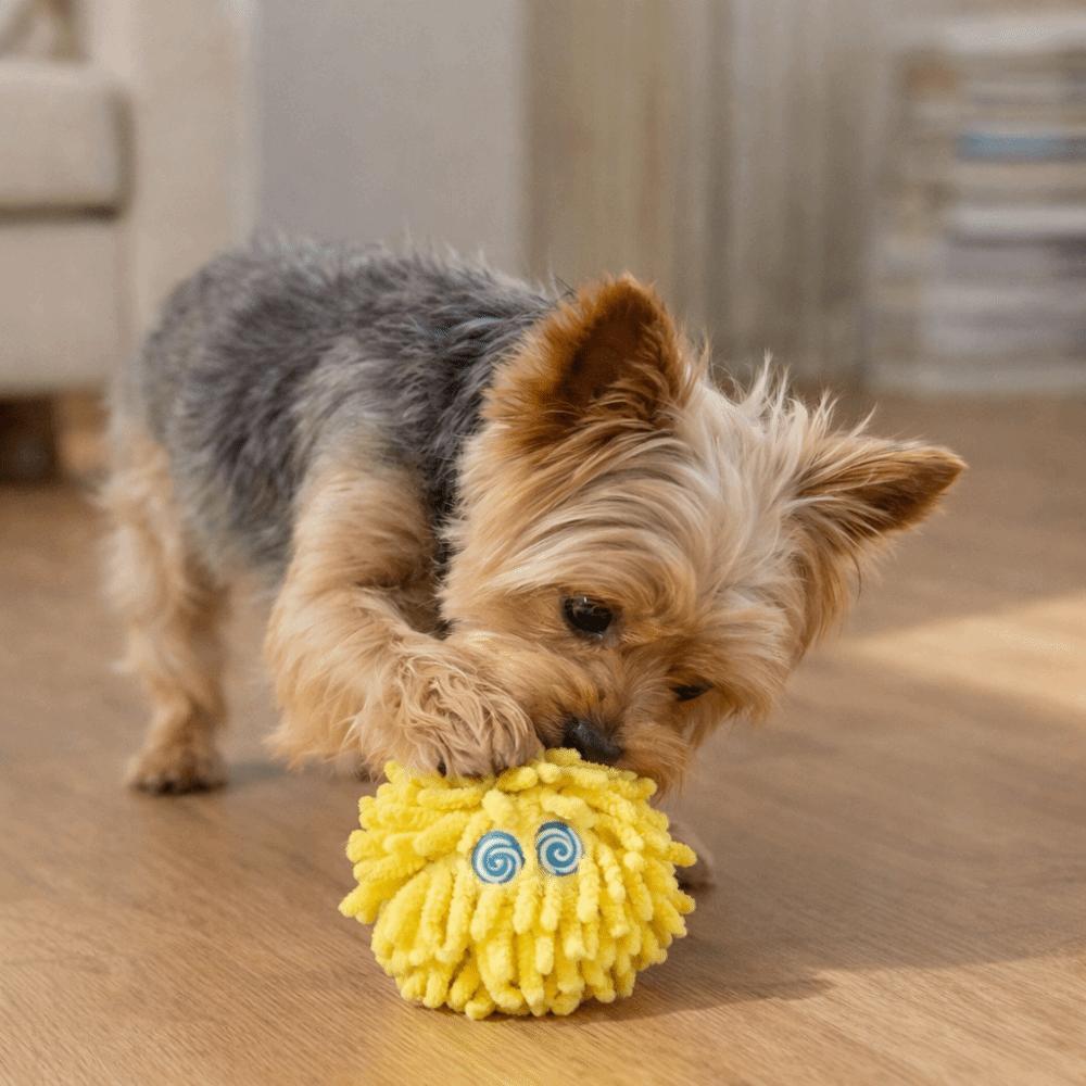 Bite-Resistant Pet Mop Ball Toys Glowing Pet Interactive Toys Teeth Grinding Toys Indoor Play