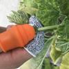 Vegetable Fruit Picker Silicone Finger Protector Chili Picker Grape Cutting Picker Thumb Knife Kitchen Tool Kitchen Accessories