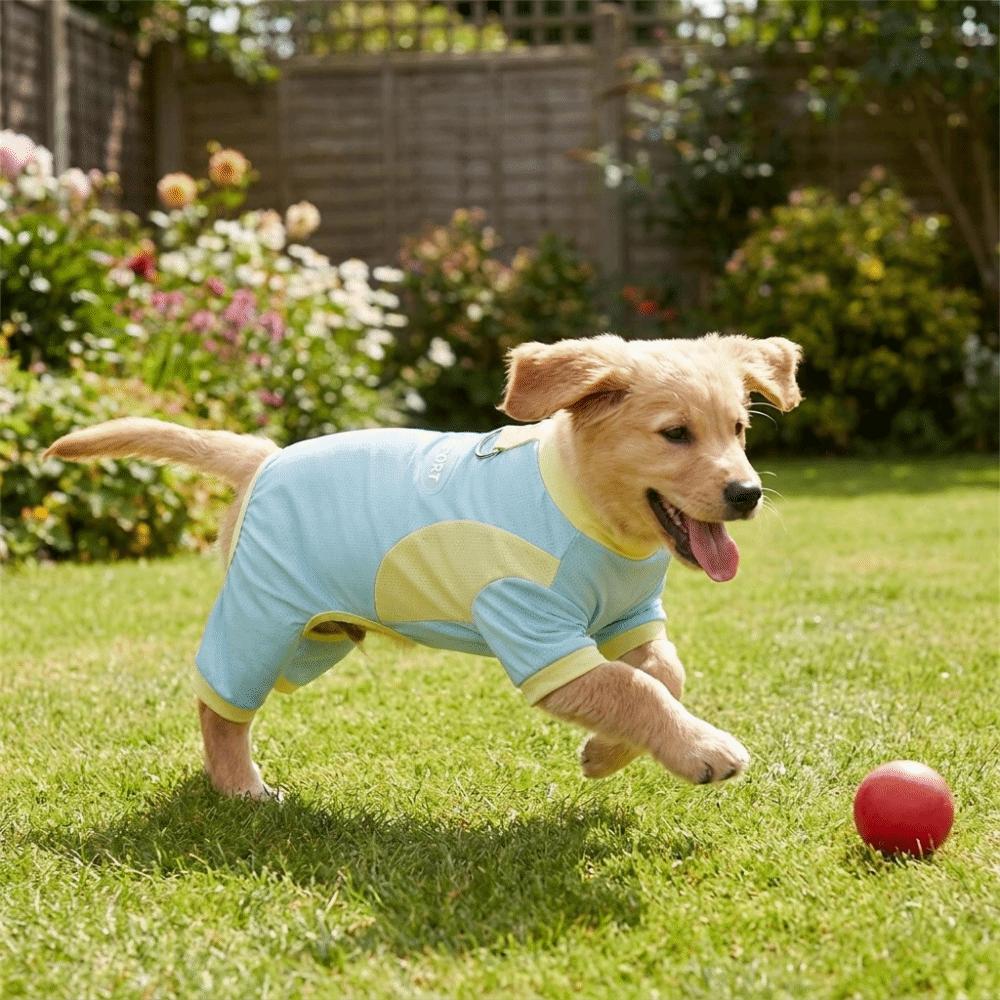 Long Sleeve Dog Jumpsuit Breathable Dog Sunscreen Suit Dog Four-legged Clothes Sun Protection