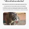 Cat Maze Treat Dispenser: Slow Feeder & Teaser Toy for Interactive Play & Intelligence Training