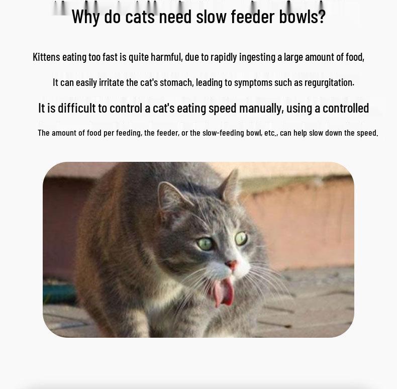 Cat Maze Treat Dispenser: Slow Feeder & Teaser Toy for Interactive Play & Intelligence Training