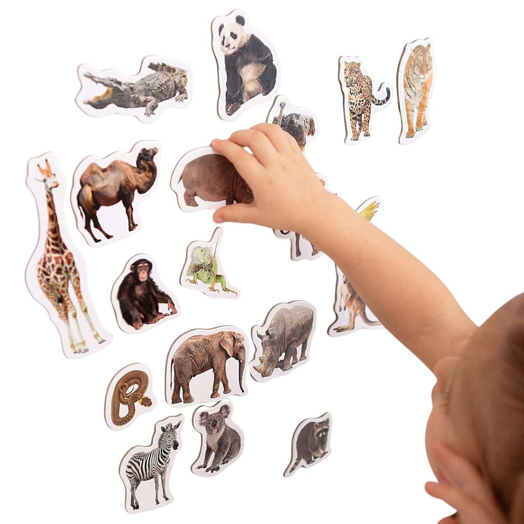Zestaw Magnesów Zoo Dzikie Zwierzęta Realistyczny Design Solidne Wykonanie Mv6032-02