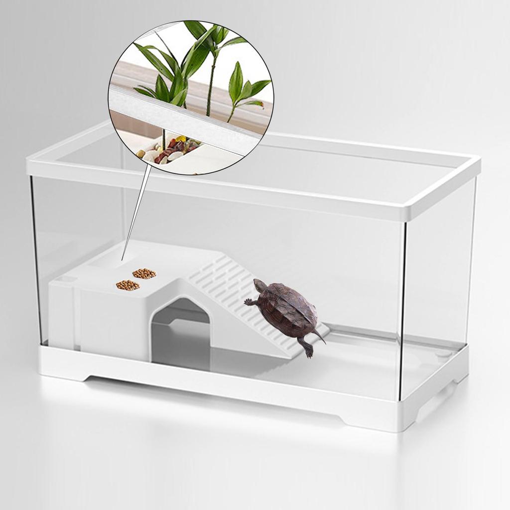 Turtle Tank Multifunctional Area Box Amphibians Turtle Habitat Indoor Decor