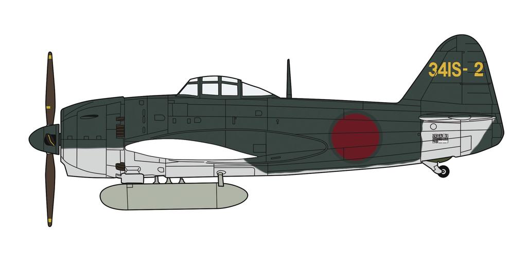 Hasegawa Japanese Navy Kawanishi Shiden Type 11 A Local 341st Air Group Plastic Model Kit 07541 1/48 N1K1-Ja Fighter, (Aircraft)