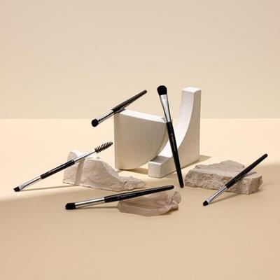 Eye Makeup Brush Set (5 Types)