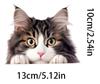 2 Cute Kittens Pack of Vinyl Decals Stickers, Covered Waterproof