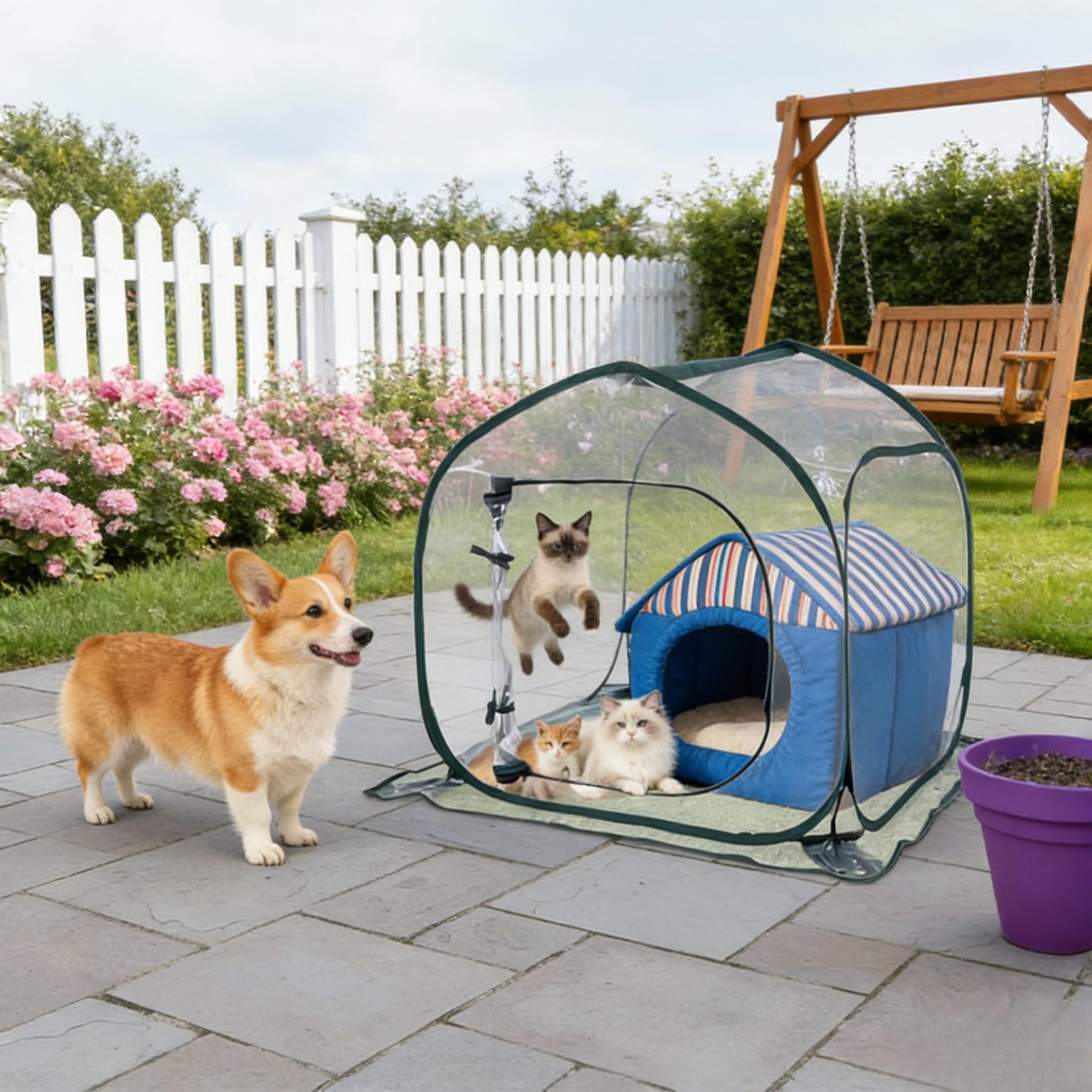 

Greenhouse for All Season Plant Protection with Transparent Walls and Bird Mesh Guard 31.5 Inch Square Dimensions China Mainland