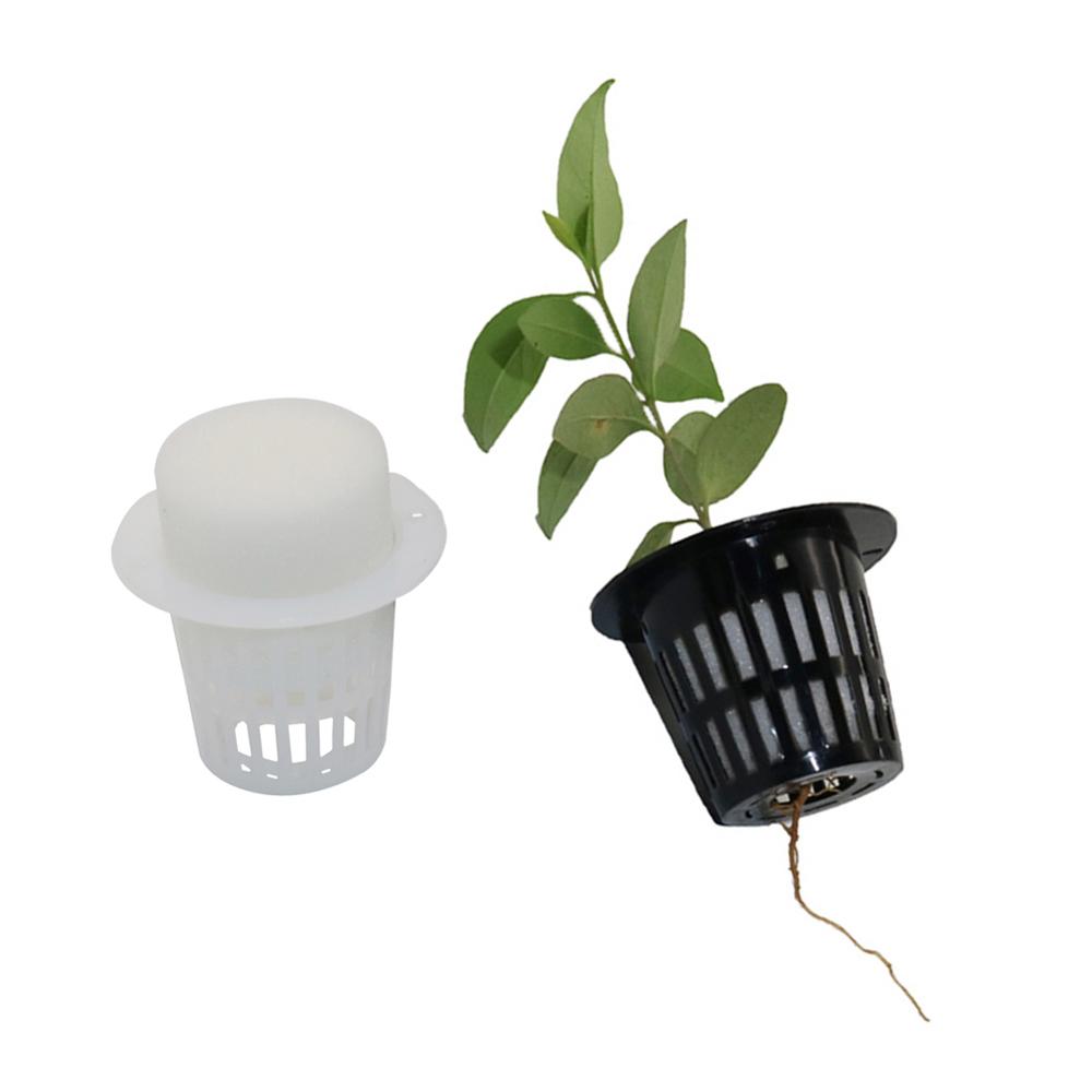 20Pcs Plant Nursery Mesh Cup Pots Grow Pot Sponge Net Colonization Vegetable Planter Growing Basket Holder Hydroponic Soilless