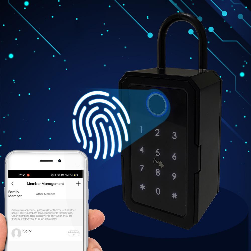 Black Graffiti Fingerprint Smart Key Box with Bluetooth & App Remote Unlocking