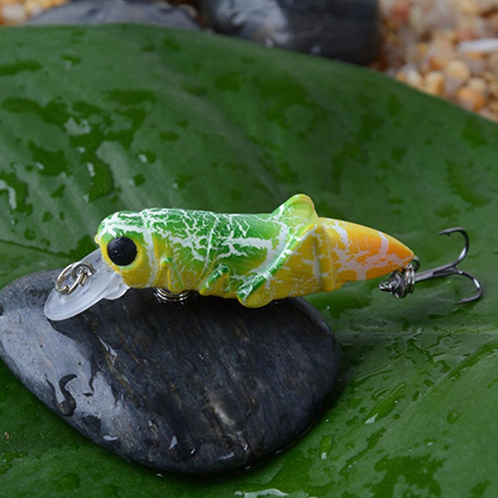 Innovative Design of 5cm Insect Fishing Lures To Attract Fish Easily