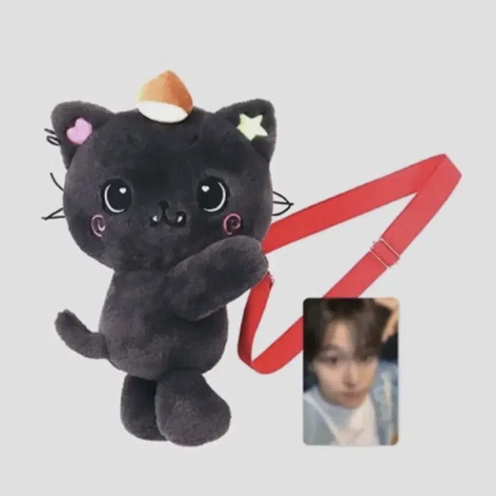 

Nct Wish Кукла Wish Кури Рику Сумка Логин Md