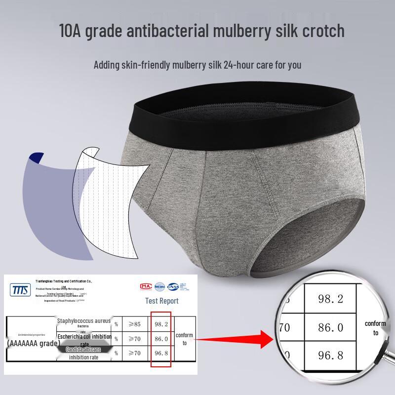 Langsha Men's 4-Pack Cotton Briefs with Mulberry Silk Crotch