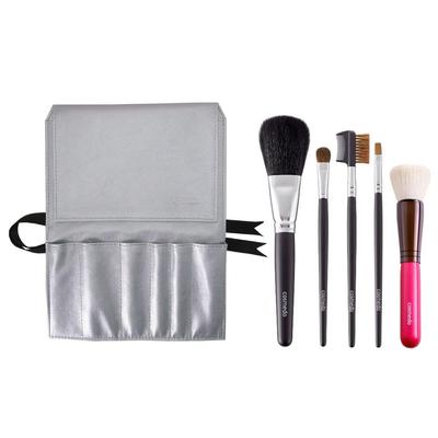 Takumi No Makeup Brush Kumano Brush Makeup Brush Set Starter Set Plus Makeup Brushes and Brush Silver Cosme-do (5 Case) S505-C04S