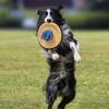 Dog Flying Disc Toy Soft Canvas Indestructible Flying Disc Training Pet Supplies Outdoor Games With Snack Bag For Outdoor Sports