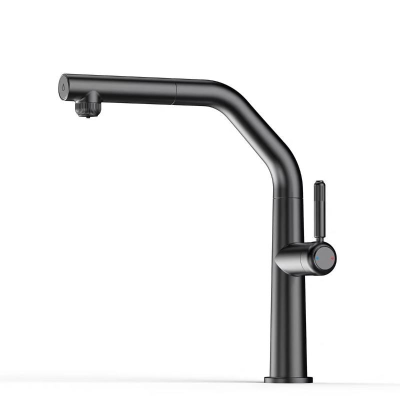 Kitchen Faucet Dual Spout Pure Drinking Water Tap Pull Out Kitchen Sink Mixer Stainless Steel Kitchen Gourmet Faucet Crane
