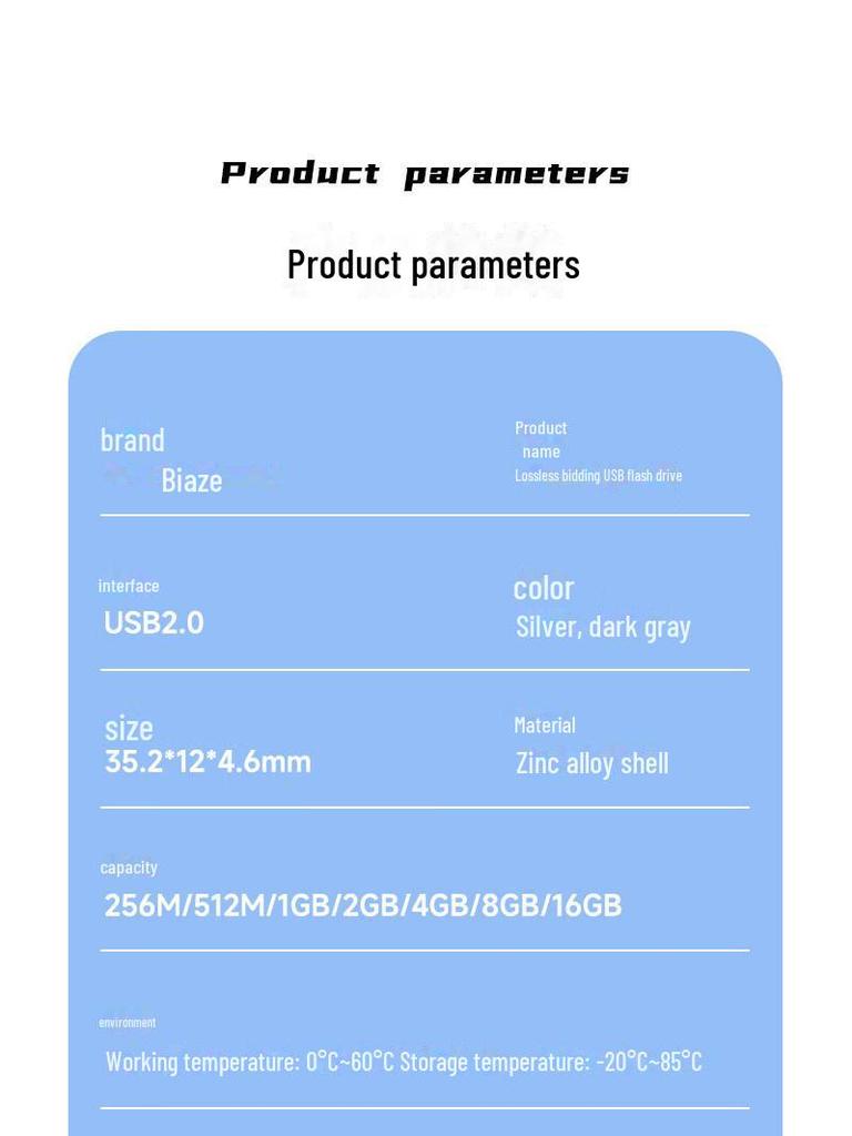 Biaz 4GB USB 2.0 Waterproof Metal Flash Drive, 10-Pack Box