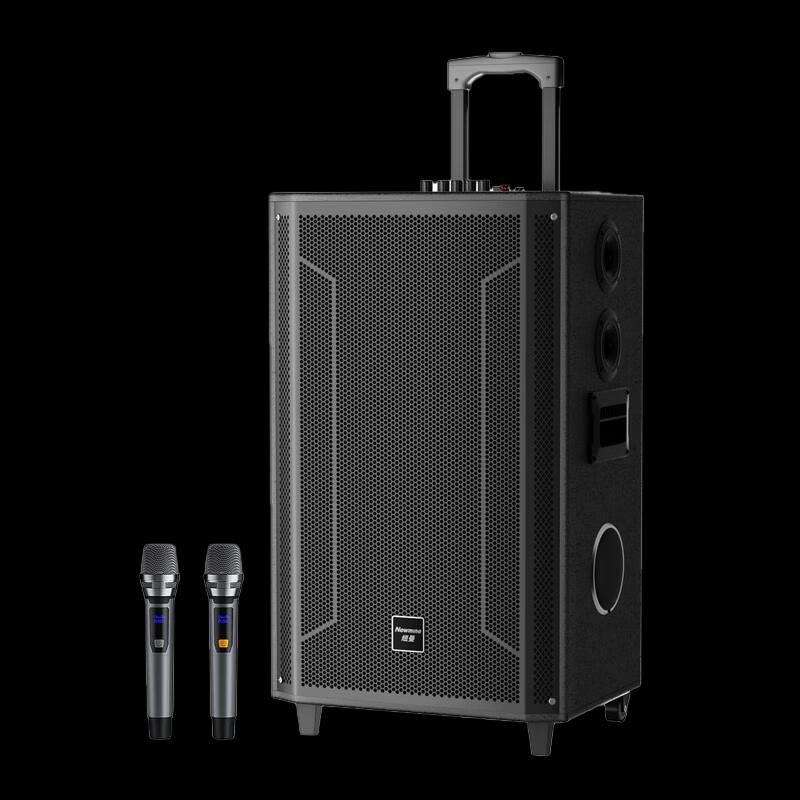 Newmine N527 15-inch Portable Bluetooth Karaoke Speaker