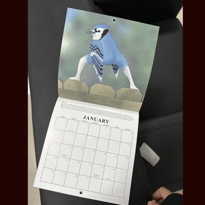 Funny Birds Calendar Creative Monthly Planner Home Decoration