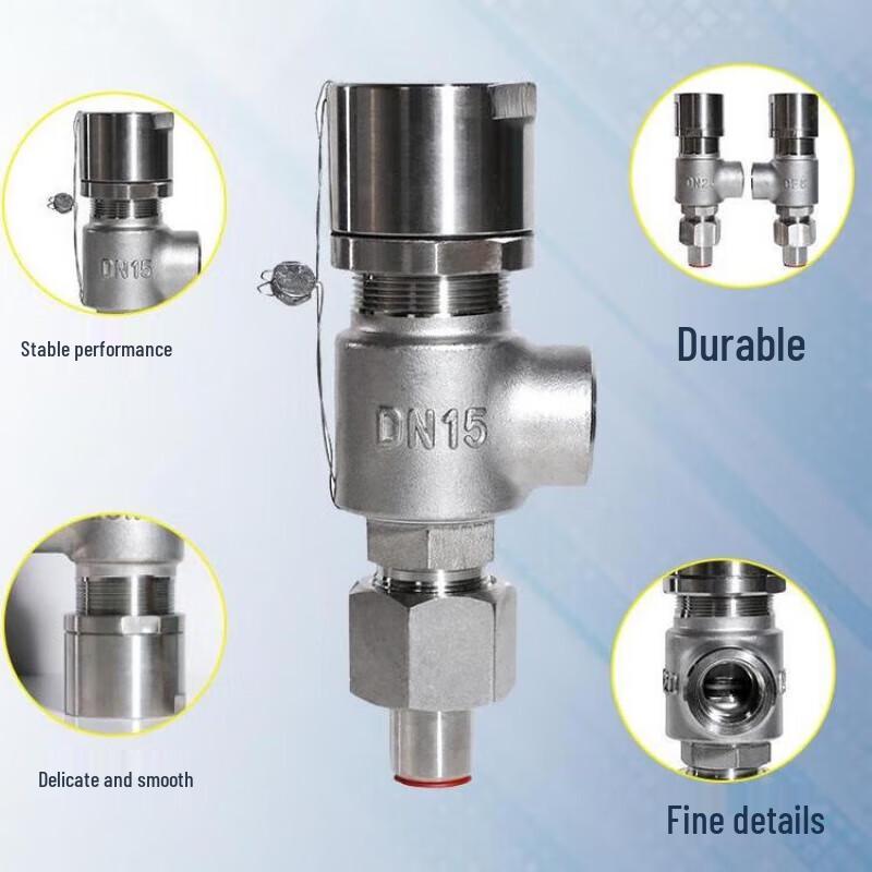 Nanyi Carbon Steel Safety Valve A21H-16C DN20