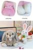 Carrot Rabbit Plush Toy Series - Soothing Dolls Available Now