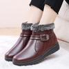 Cotton Shoes Women's Winter Plus Velvet Thick Snow Boots Wear-resistant Non-slip Thick-soled Short Boots
