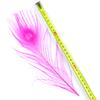 Dyed Peacock Feather 25-30cm for DIY Craft Vases Creative Hat Costume Party Wedding Carnaval Holiday Floral Decoration