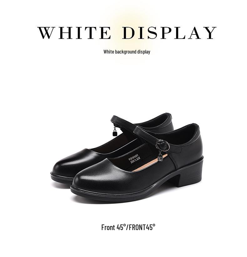 Red Dragonfly Women's Genuine Leather Mary Jane Loafers - Chunky Heel, Shallow Cut, Perfect for Spring and Autumn.