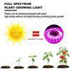 Luz LED de Crescimento de Espectro Completo USB 5V Lâmpada Fito LED para Mudas Flores Estufa Jardim Hidropônico Cultivo Interno Lâmpada Fito
