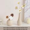 Cream Style Decorative Vases for Living Room, Bedroom, or TV Cabinet with Dried Flowers