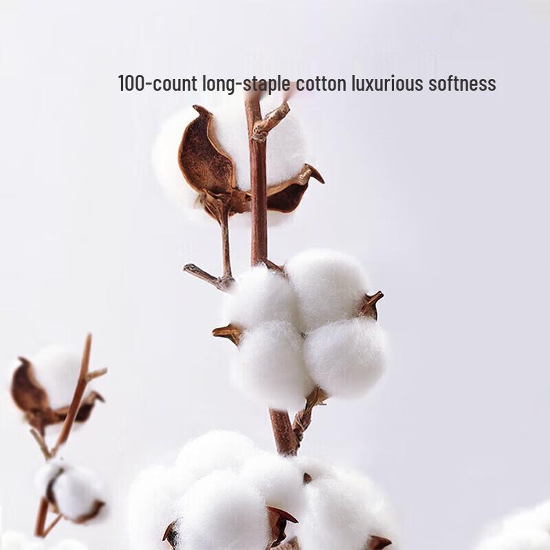 

Fuanna Ya Song Ru Meng Ling 100-Count Long-Staple Cotton 4-Piece Bed Sheet Set