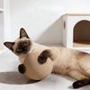 Cat Toy Ball, Interactive Natural Cat Scratching Balls Sisal Cat Ball Toy for Kittens Pet Enrichment Training Play Indoor Fun