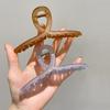 Korean Textured Jelly Color Versatile Shark Hair Clip for Styling