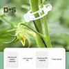 100/200/300 Pcs Plant Clips Plastic Plant Support Clips Reusable Tomato Trellis Clips for Climbing Plants Vines Cucumbers Indoor Outdoor Use