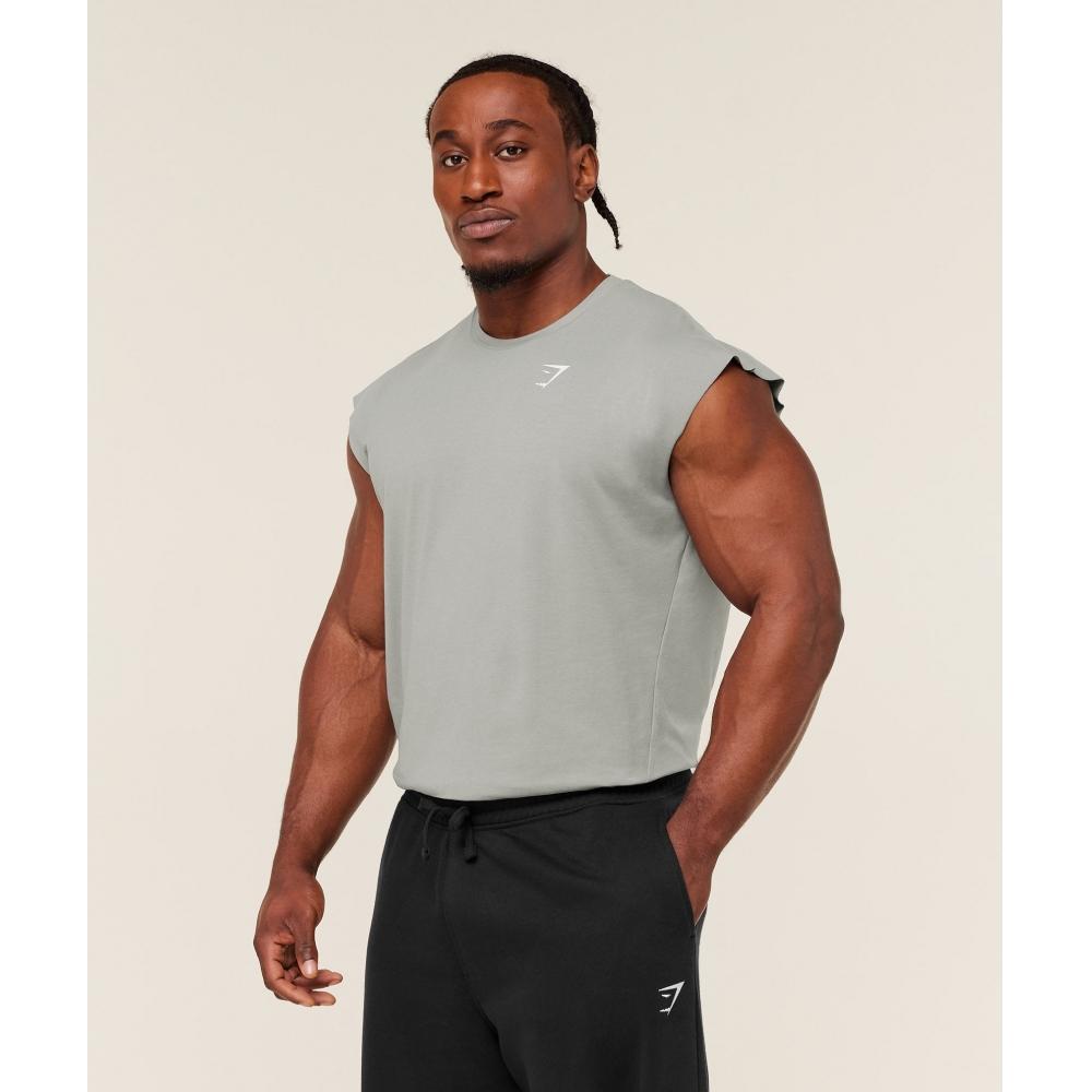 Gymshark Kritischer Überlaufbehälter Rauchgrau A1a2s Gb7r