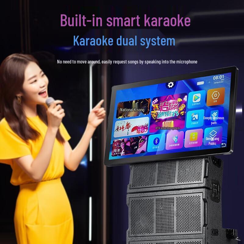 SAST Professional KTV & Conference Audio System