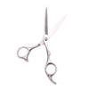 Professional Hairdressing Scissors 5.5" 6" Japan Stainless Shop Hair Cutting Scissors Salon Thinning Shears