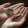Mini Cute Crocodile Tea Pet Resin Decoration Ornament