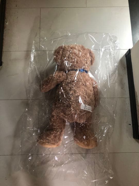 [USED] Teddy Bear