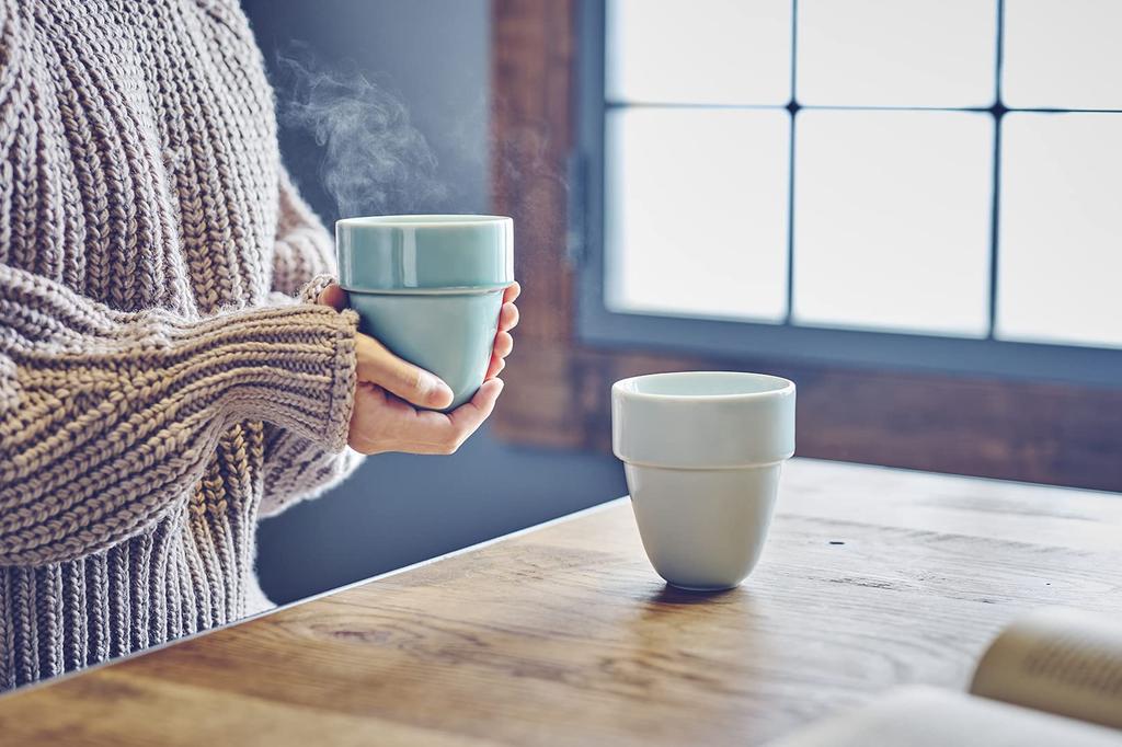 cores Aritable Mug C830GY Extended Stone Gray [Official] 3-Month Warranty,