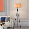 Nu Feng Black 12W Warm Light Corner Floor Lamp
