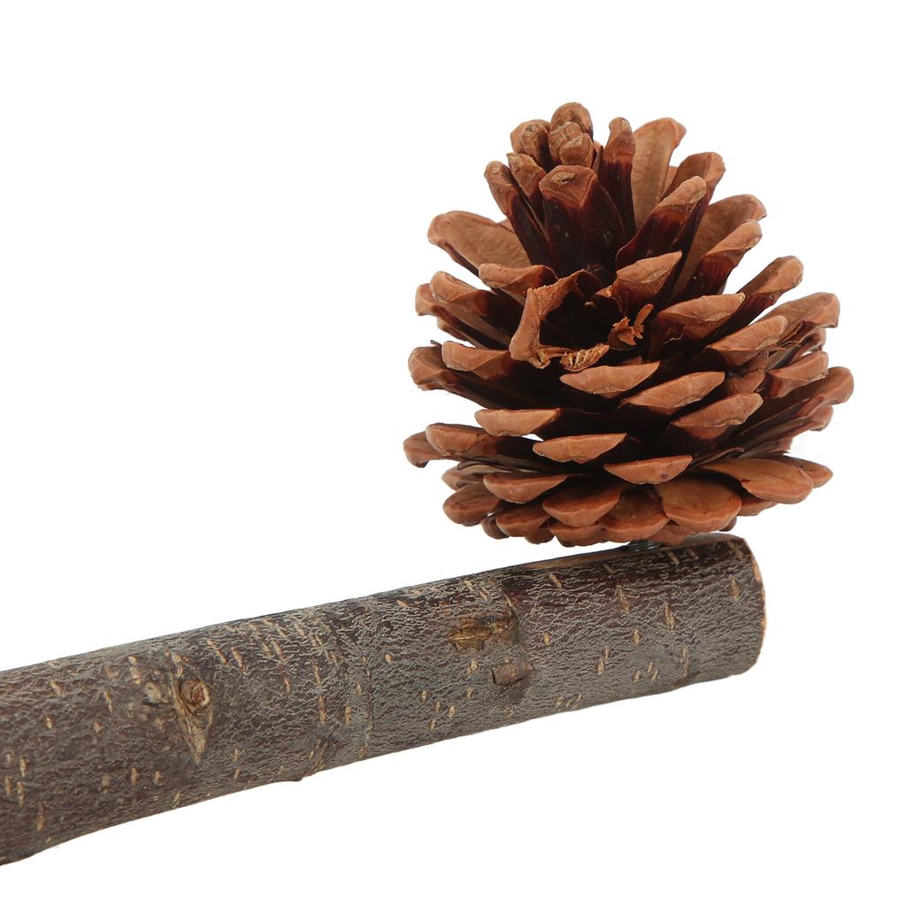 Natural Perch Bird Stand Pole Chewable Applewood Bird Perch Cage Accessories with Pine Cone for Parakeets Cockatiels