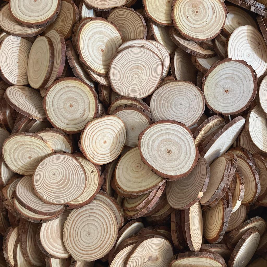 DIY Hand-Painted Wooden Slices for Crafts and Kindergarten Decor – Small Natural Wood Pieces with Growth Rings