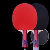 Double Happiness Beginner Table Tennis Paddle Set