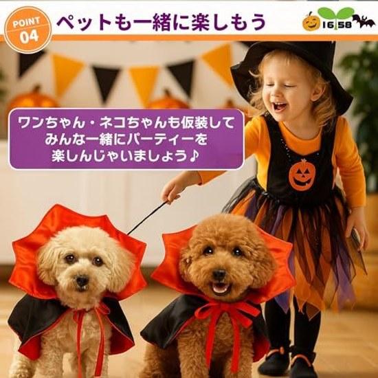 IROKOHA Halloween Christmas are set this pet costume cape vampire dog cat Dracula disguise wear photo commemorative shooting (Red Black M)