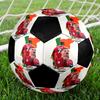 Futebol – Bolas de futebol