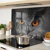 Glass Serving Board for Snacks Owl With Devilish Eyes 80X52 Cm