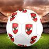 Al Ahly SC Soccer Ball, Colorful, Suitable for All Ages, Machine-stitched, PVC Material, Competition Grade, Durable and High Bounce