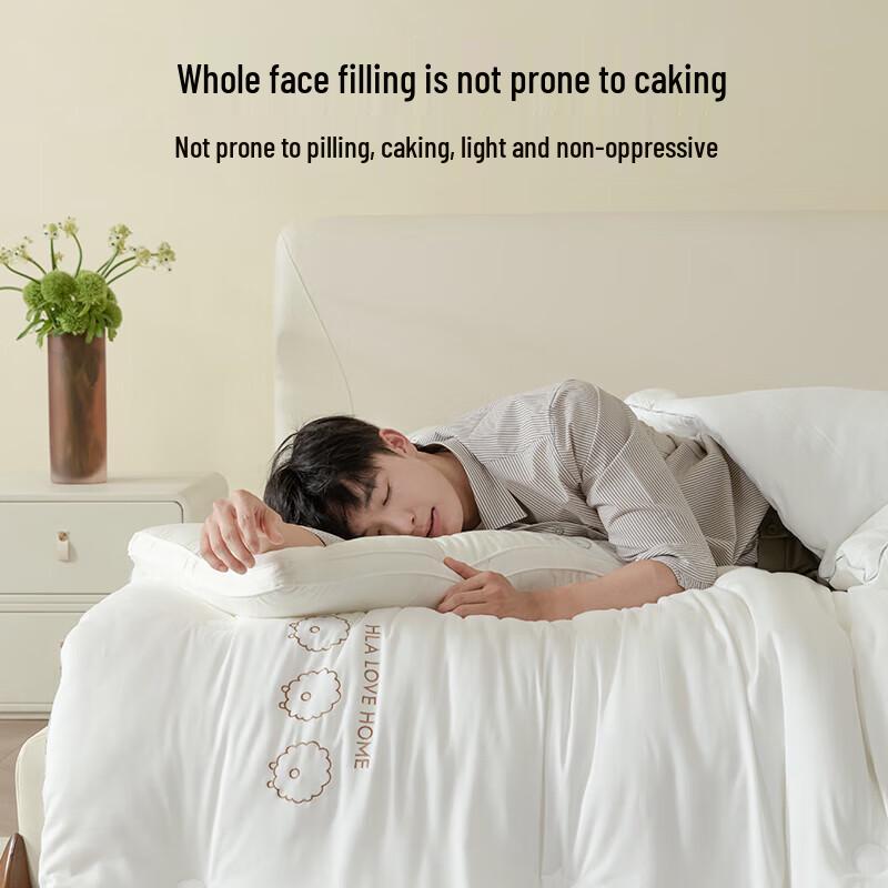 HLA Home All-Season Thickened Warm Quilt