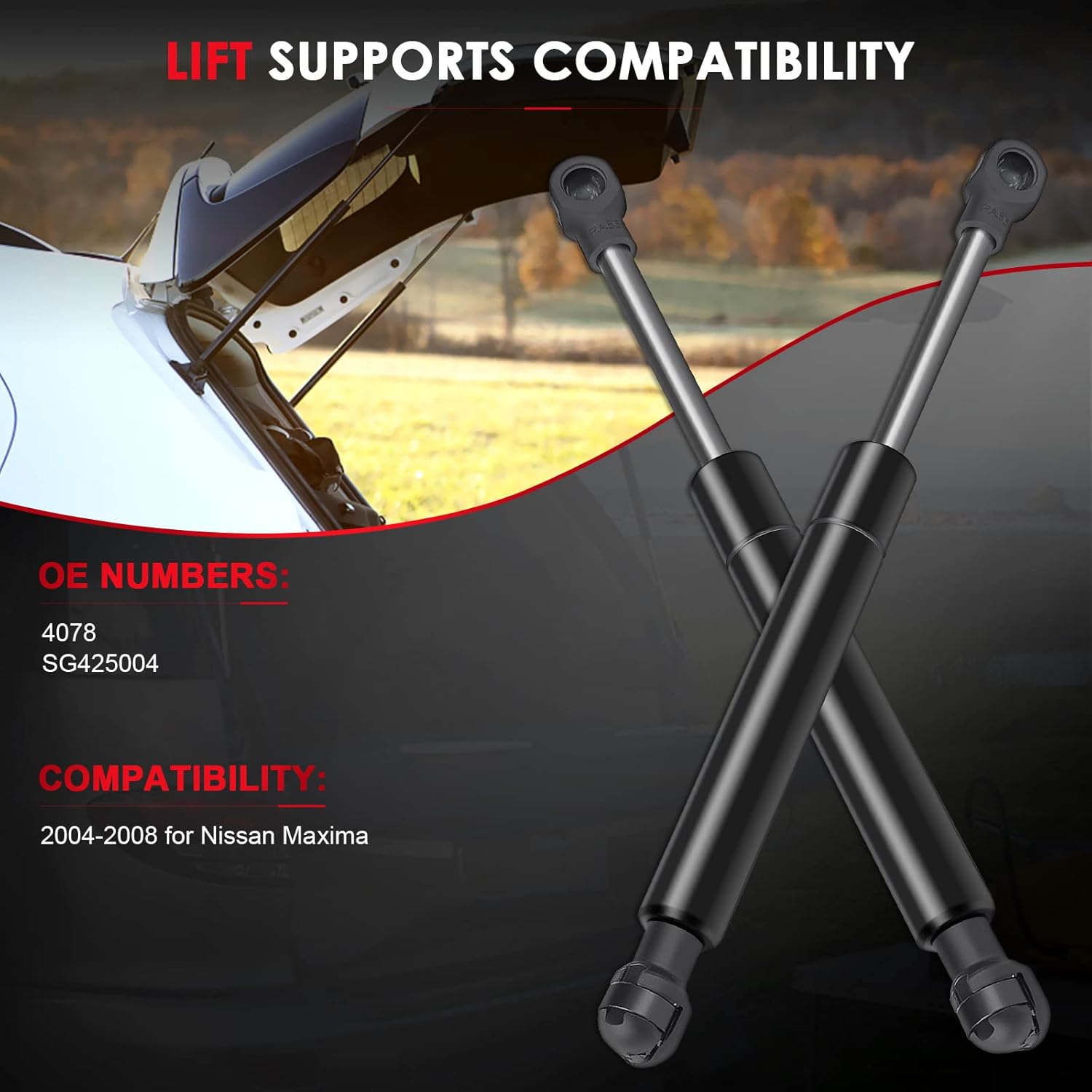 

Rear Hatch Lift Supports Liftgate Struts Tailgate Shocks Trunk Gas Springs Replacement Parts Compatible with 4078 SG425004 for 2004-2008 for Nissan