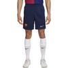 Nike Dri-FIT Barcelona Football Club 2024/25 Home Logo Embroidered Sweat-Wicking Comfortable Solid Color Football Pants Men Bottoms FZ4691-410